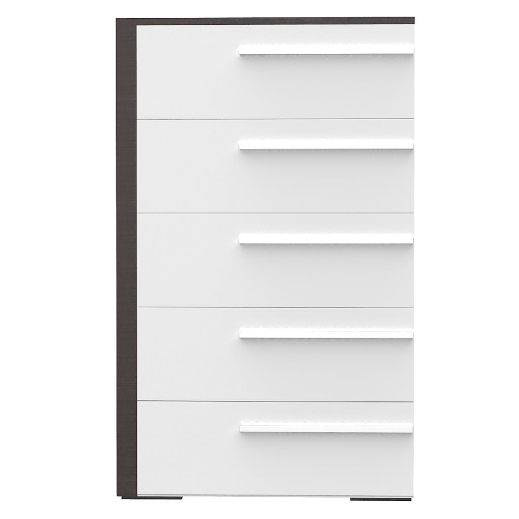 Bebelelo 5 Drawer Chest Office Storage Organization, for Home Decor, White & Wood Burn