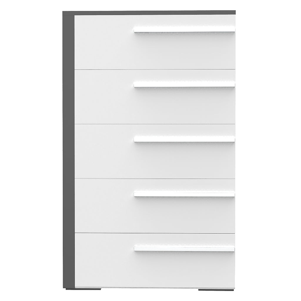 Bebelelo 5 Drawer Chest Office Storage Organization, for Home Decor, Dark Grey & White